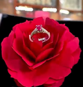 100% Original natural Rubby Queen's Gift VIP Ring Most Demanded